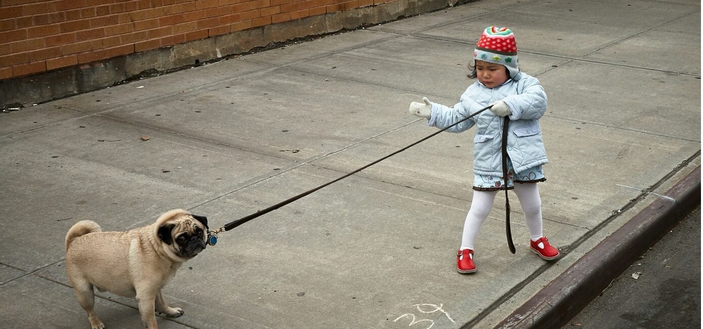 Alle reden von guter Führung – „NUR“ Wir wissen  was das wirklich bedeutet Achtung Clickbait! 😉