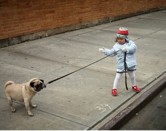 Blogbeitrag: Alle reden von guter Führung – „NUR“ Wir wissen  was das wirklich bedeutet Achtung Clickbait! 😉