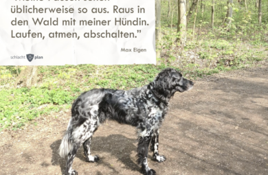 Beitragsbild:23.6.2026 Beitragsbild:23.6.2026